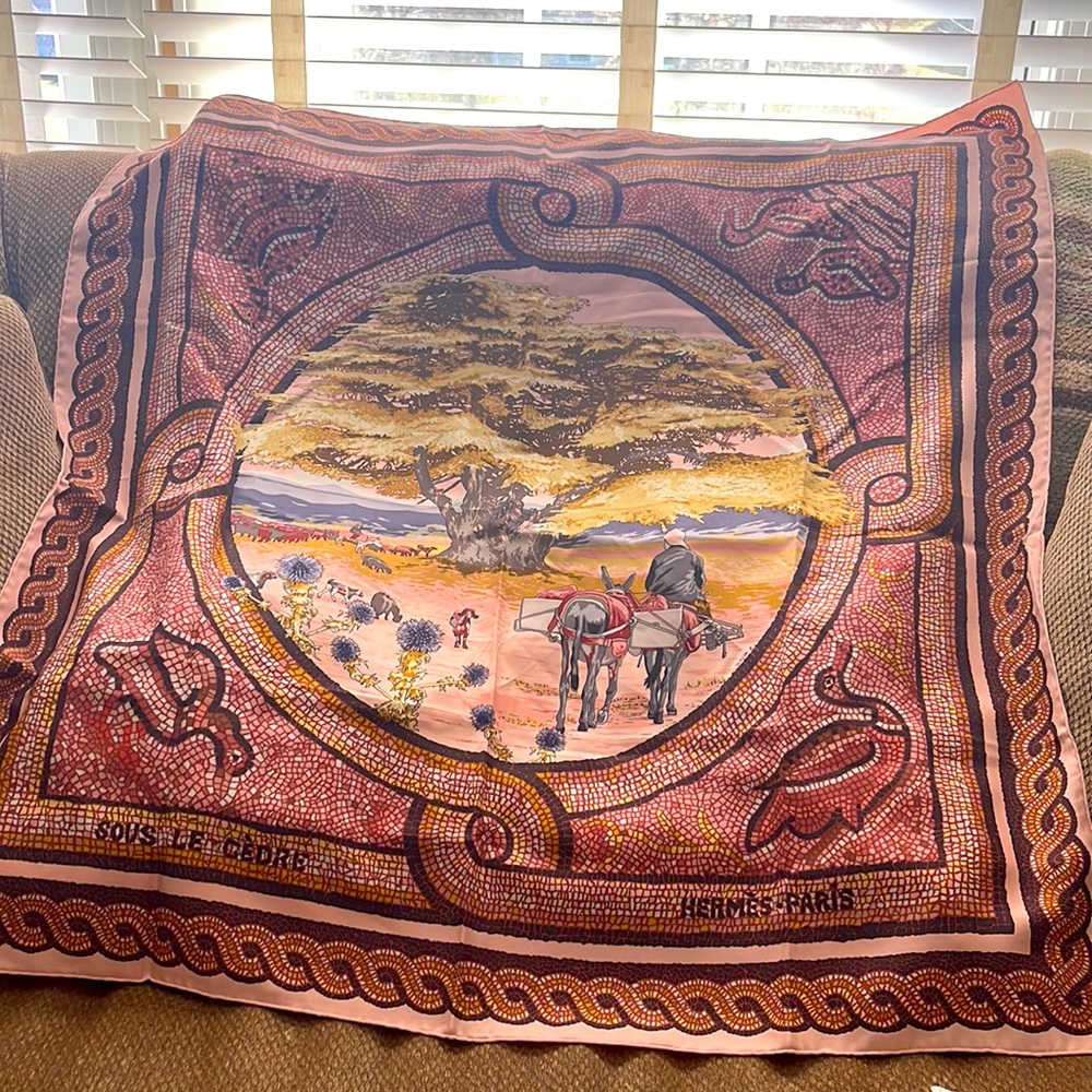 Hermes scarf
